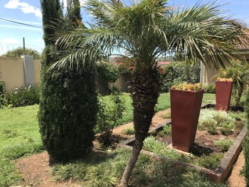 vjs guesthouse and restaurant