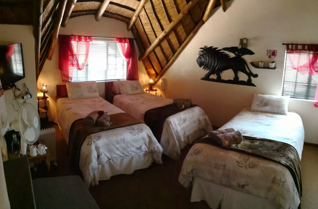 all over africa guest house