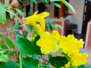 sisira natural lodge