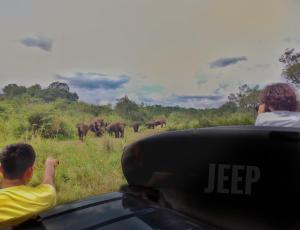 sisira natural lodge