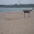 beach lagoon guesthouse
