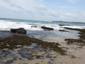 tangalle