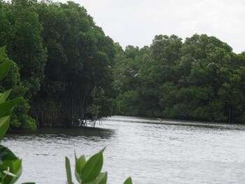 tangalle