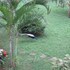 tangalle
