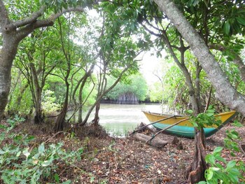 tangalle