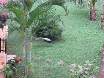 tangalle