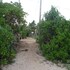 beach lagoon guesthouse
