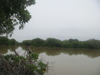 beach lagoon guesthouse
