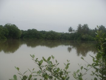 beach lagoon guesthouse