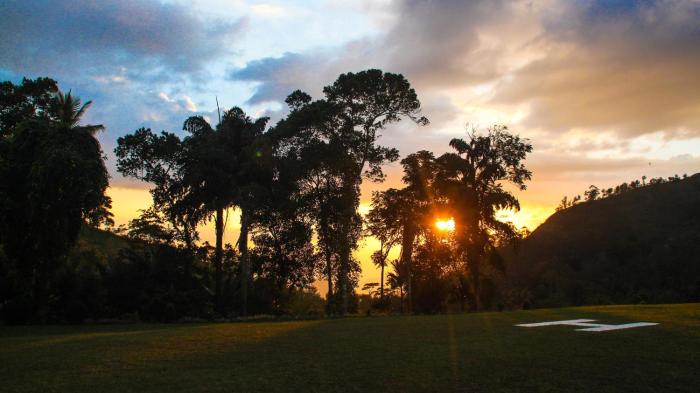 ancoombra tea estate bungalow