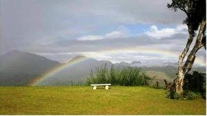ancoombra tea estate bungalow