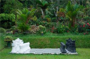 ancoombra tea estate bungalow