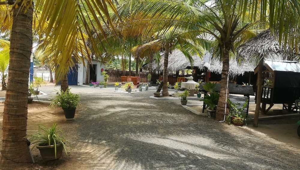 kite paradise resort kalpitiya