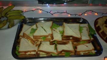 kite paradise resort kalpitiya