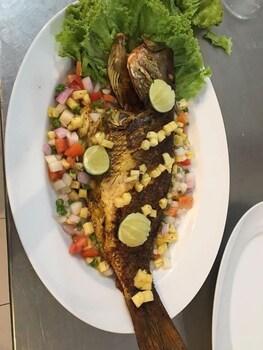 kite paradise resort kalpitiya