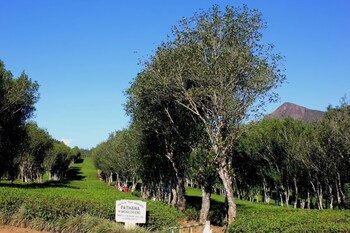 hatale mini worlds end bungalow