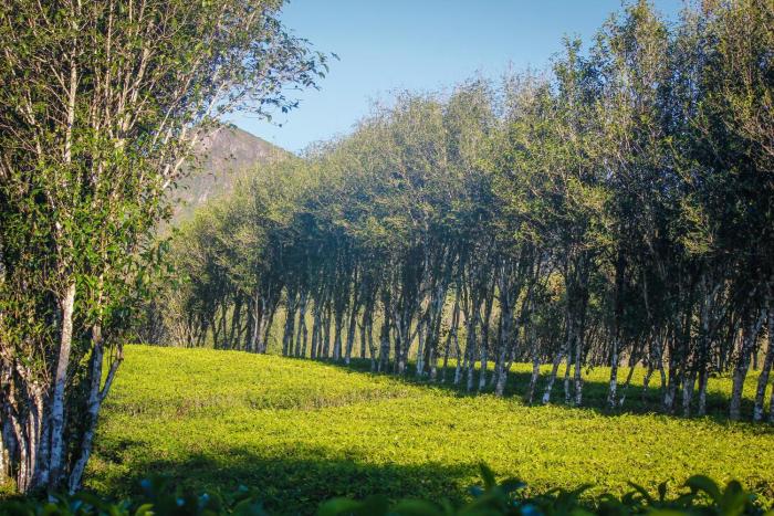 hatale mini worlds end bungalow