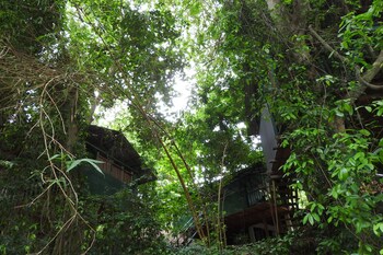 riverside cabana yala