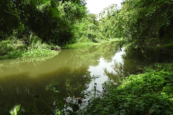 riverside cabana yala