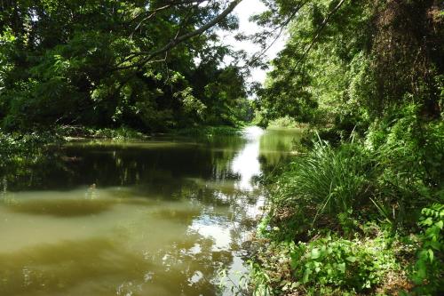 riverside cabana yala