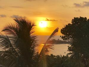 laras place unawatuna