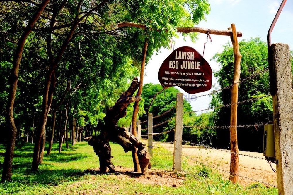 lavish eco jungle