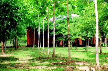 lavish eco jungle