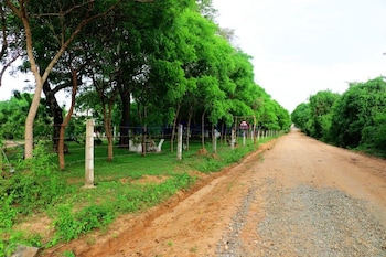 lavish eco jungle
