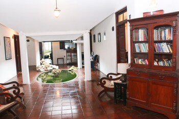 turtles rest and curry bowl