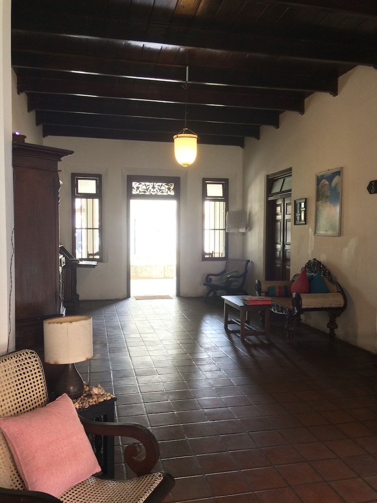 turtles rest and curry bowl