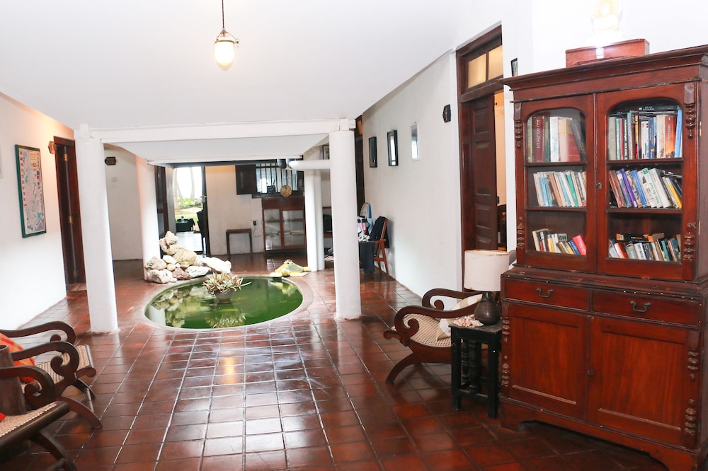 turtles rest and curry bowl