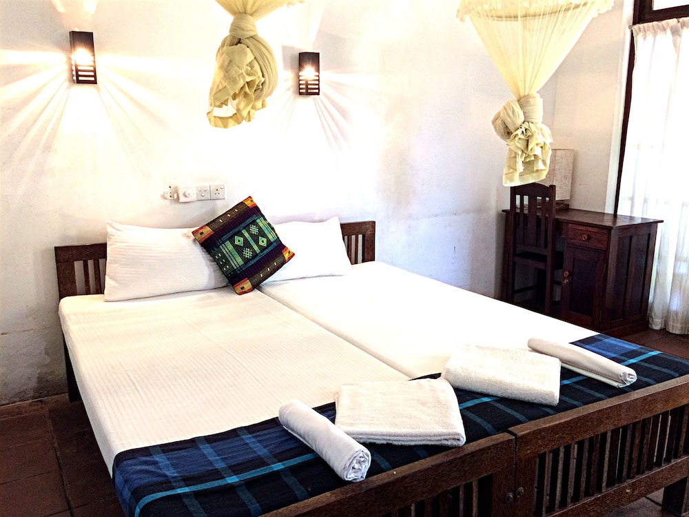 turtles rest and curry bowl