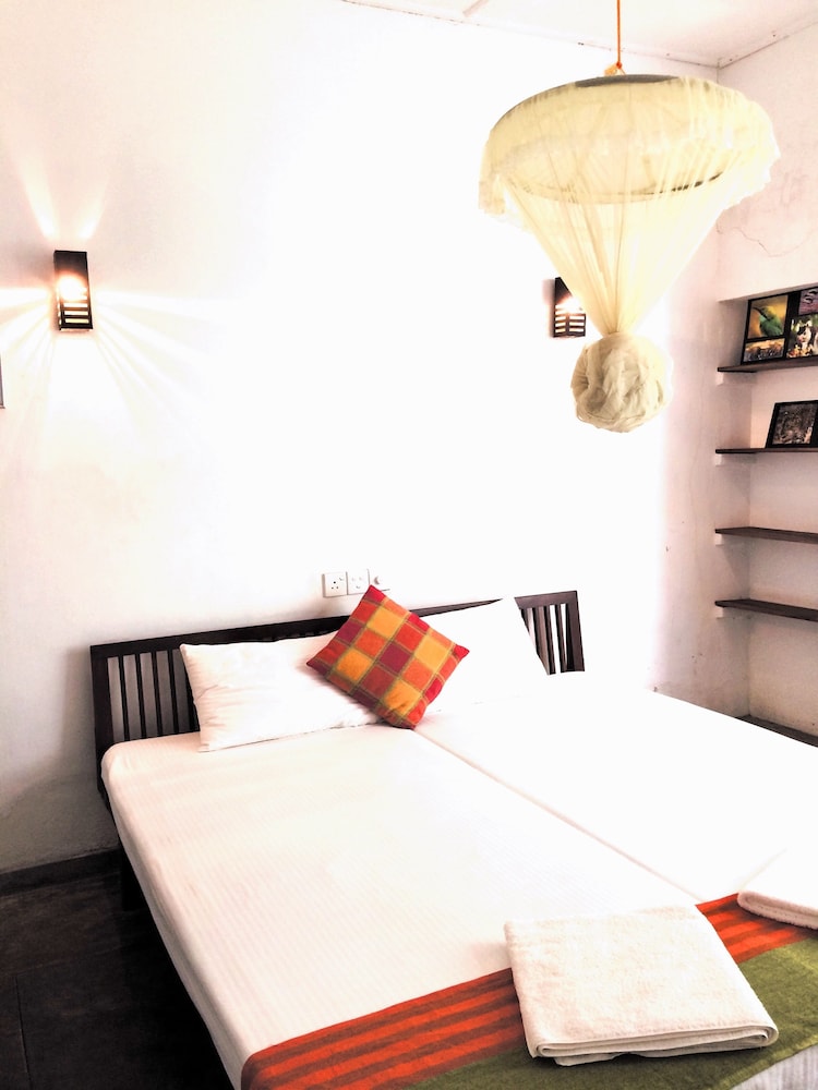 turtles rest and curry bowl