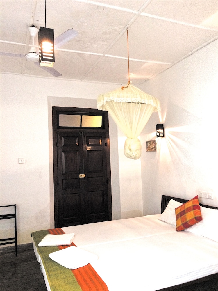 turtles rest and curry bowl