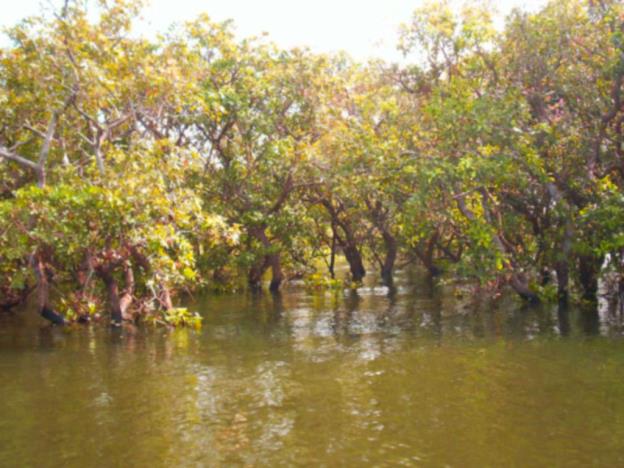 hamilton house negombo