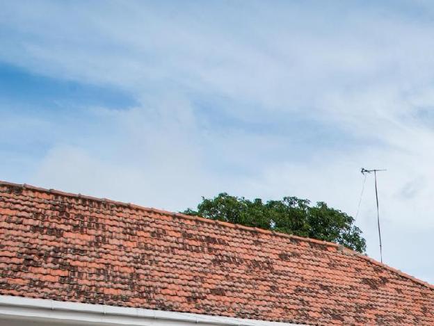 hamilton house negombo