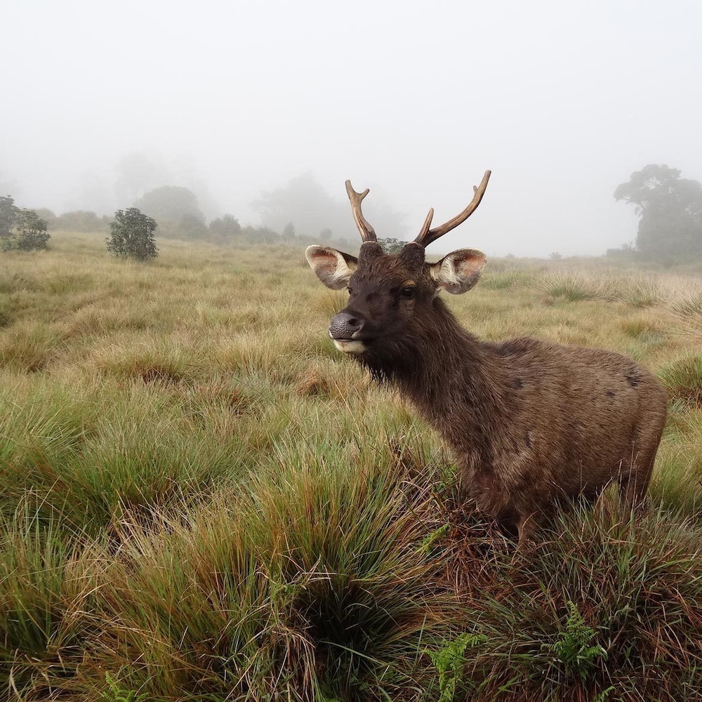 southern view holiday resort
