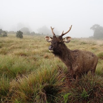 southern view holiday resort