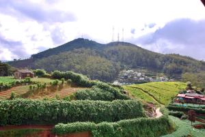 Cottage San Francesco,Kothmale>>Ambewella,3 star