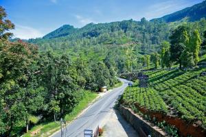 glenloch tea factory hotel