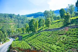 glenloch tea factory hotel