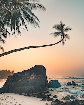 nirvana beach boutique hotel