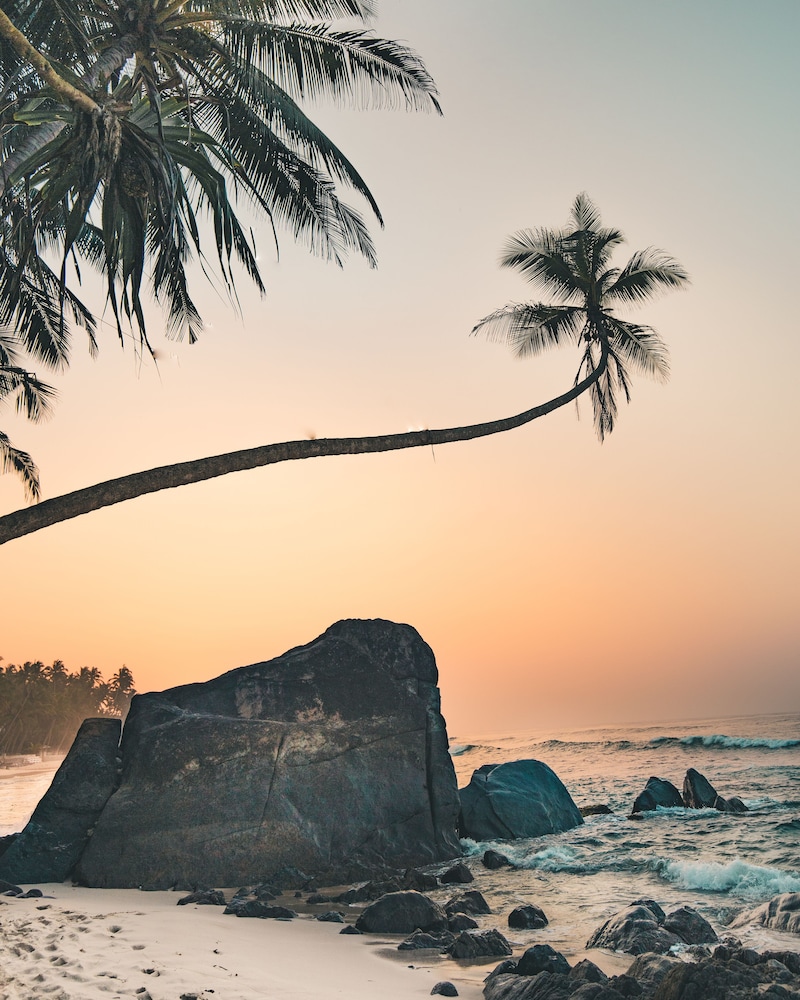 nirvana beach boutique hotel