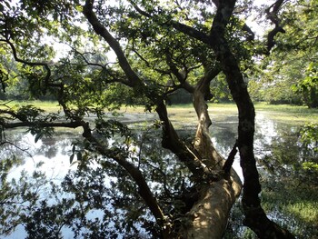 ahaspokuna by eco team