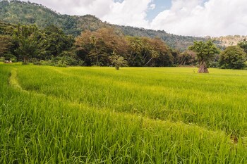 ahaspokuna by eco team