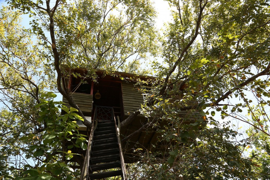 pinthaliya resort and spa