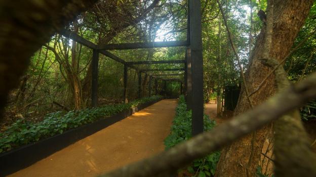pinthaliya resort and spa
