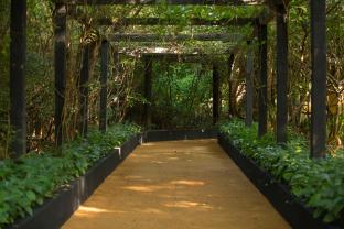 pinthaliya resort and spa