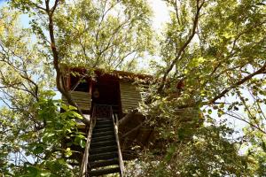 pinthaliya resort and spa