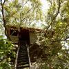 pinthaliya resort and spa